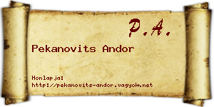 Pekanovits Andor névjegykártya
